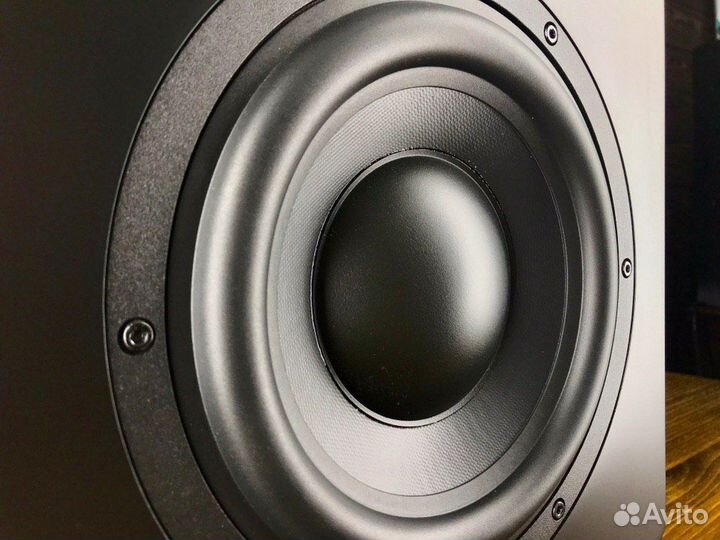 Студийный сабвуфер EVE audio TS108