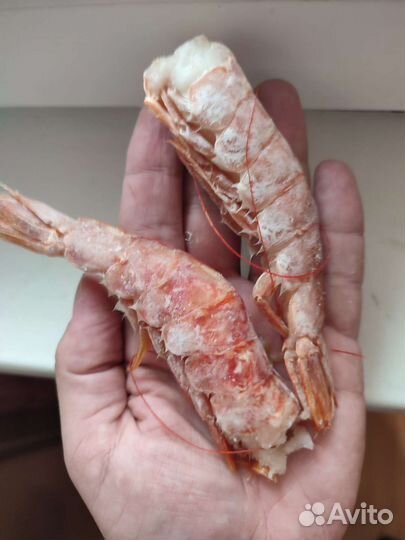 Лангустины без головы С1