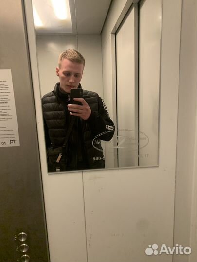 Передержка собак/выгул