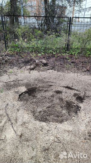 Удаление пней спил деревьев