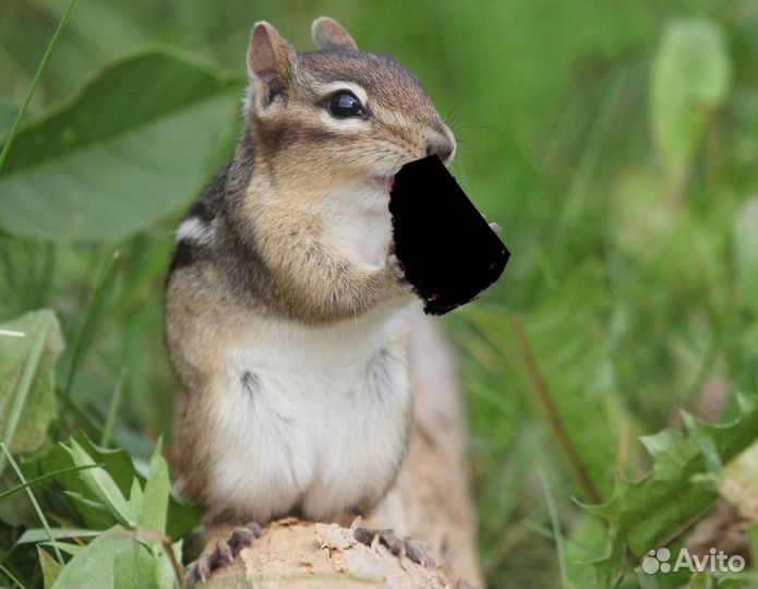 Новые кондиционеры