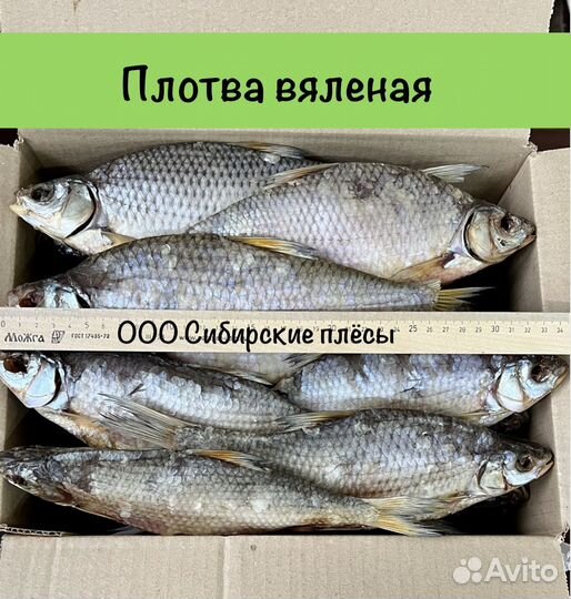Плотва вяленая