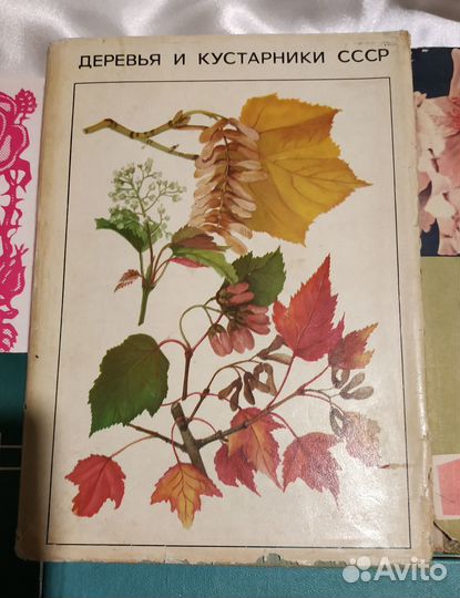 Редкие книги СССР о цветах, кустарниках и деревьях