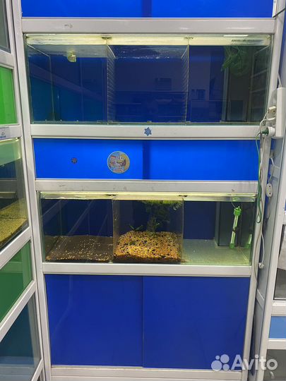 Аквариумная стойка