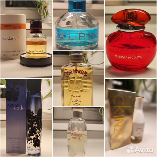 Ralph Lauren, Estee Lauder, G. Armani, C. Klein