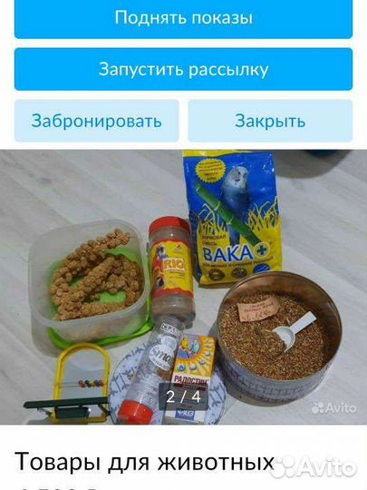 Корм и одежда для собак