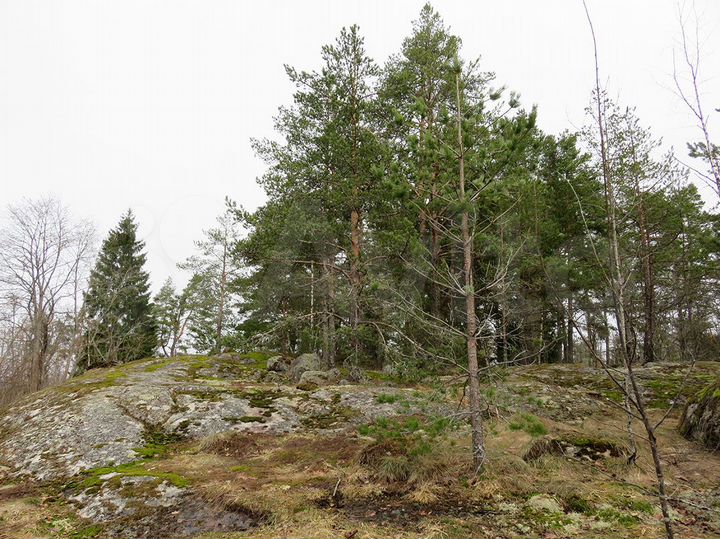 Участок 20 сот. (ИЖС)