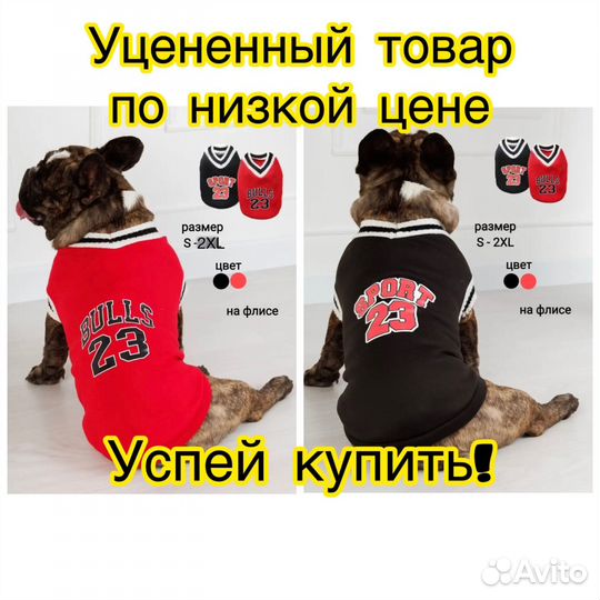 Одежда для собак и кошек