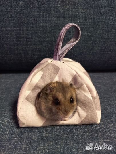 Домик для джунгарского хомячка