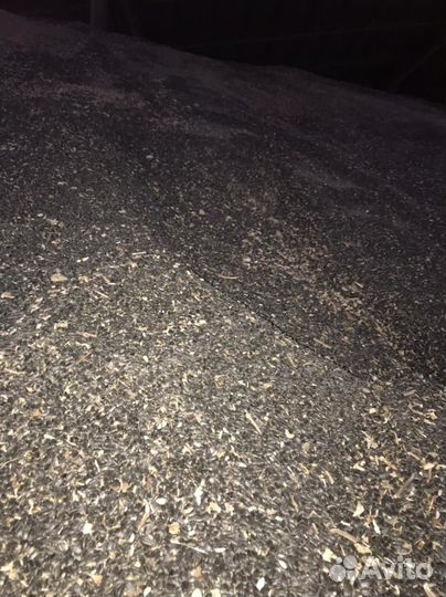 Семечки подсолнечника