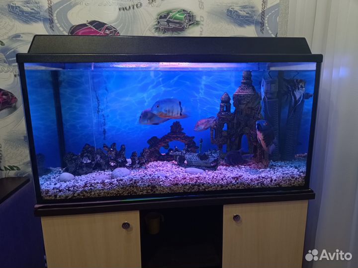 Аквариум с тумбой