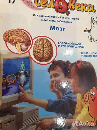 Тело Человека, развивающие книги для детей