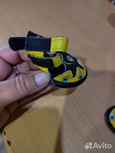 Летние ботиночки для собачки и платьице