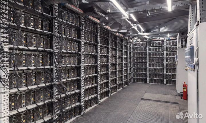 Майнинг ферма M50S 130th лот 10 штук в хостинге