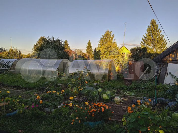 Участок 11 сот. (СНТ, ДНП)