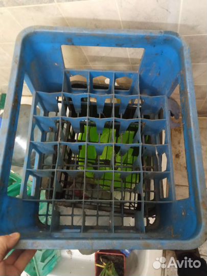 Ящик пластиковый для бутылок и комбинезоны белые