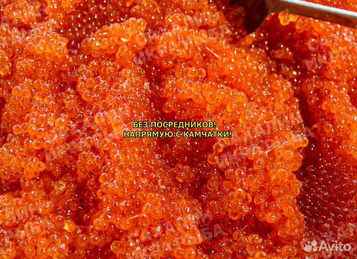 Красная икра