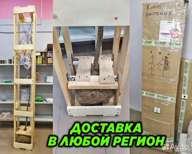 Травосмеси 10кг