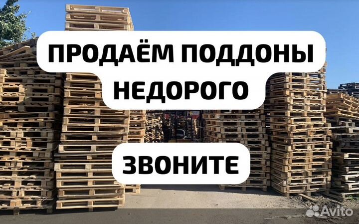 Поддоны от производителя (Оптом 500шт)