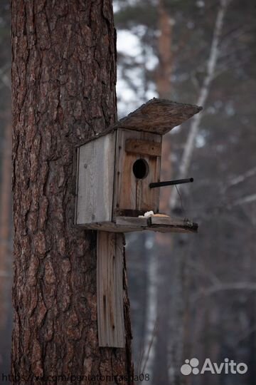 Canon EOS 5D mark ii body