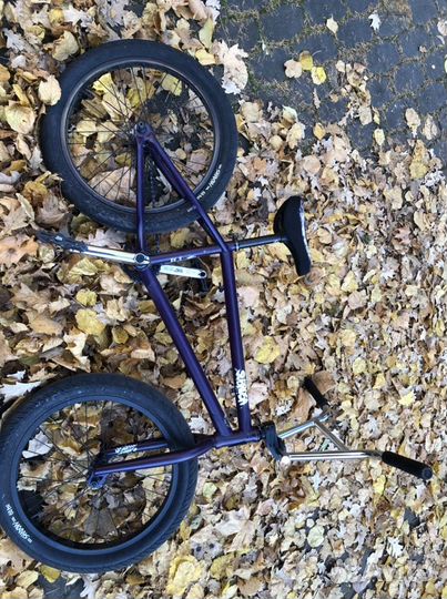 Bmx subrosa