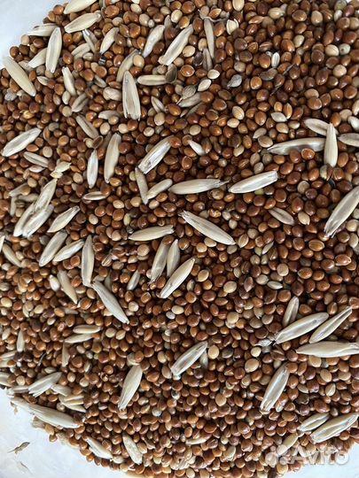 Корм для попугаев