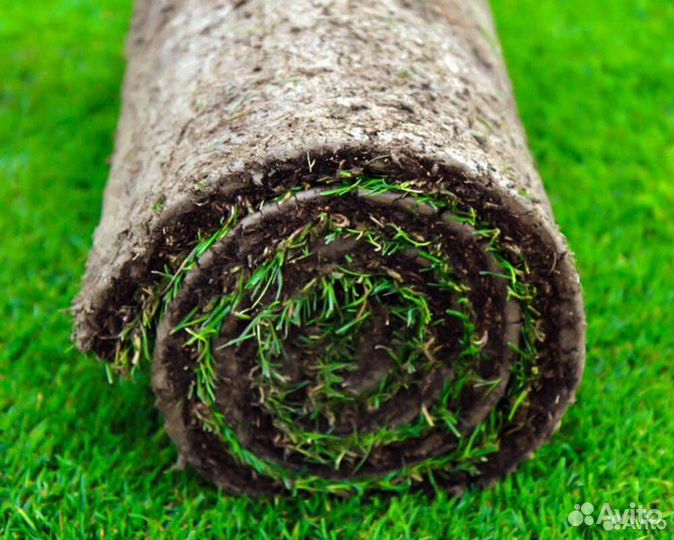 Рулонный газон с укладкой и под ключ