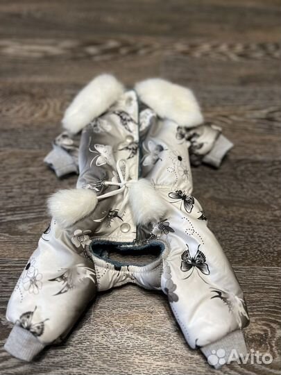 Зимний комбинезон для маленькой собачки