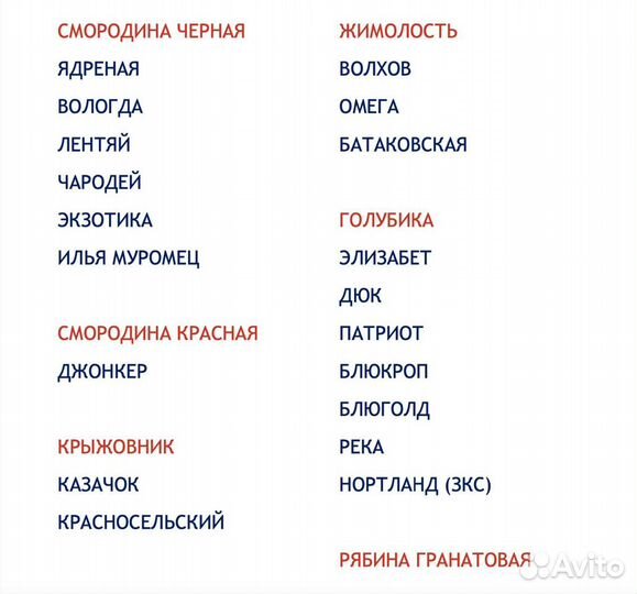 Саженцы