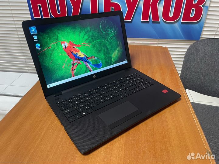 Свежий ноутбук для игр HP / ssd 256gb / 8gb озу