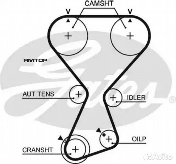 Gates T313 Ремень зубчатый T313 175 x 29 (8595-106