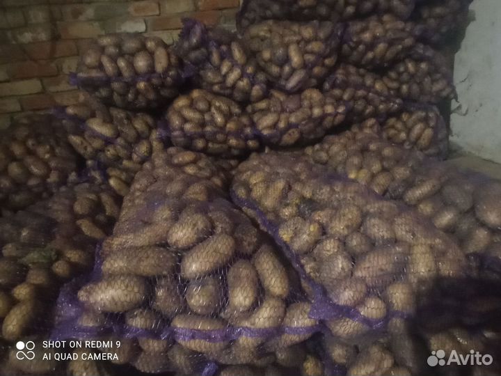 Картофель с доставкой