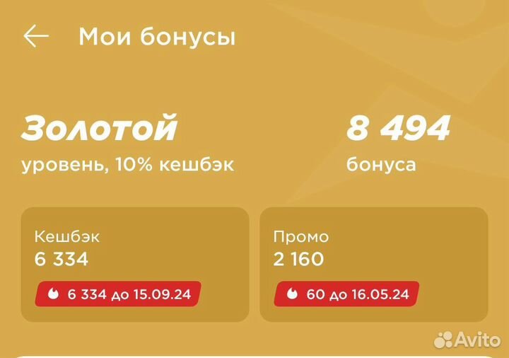 Бонусы спортмастер