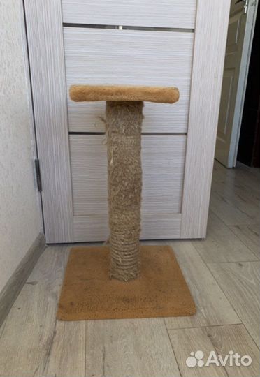 Когтеточка