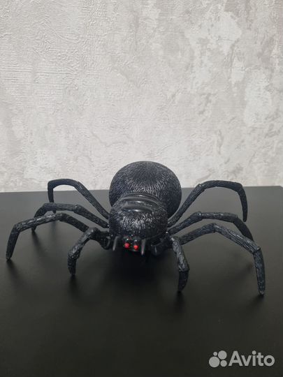 Паук на пульте управления
