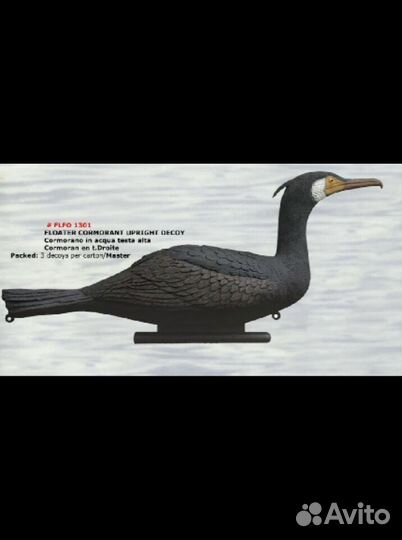 Чучело баклана