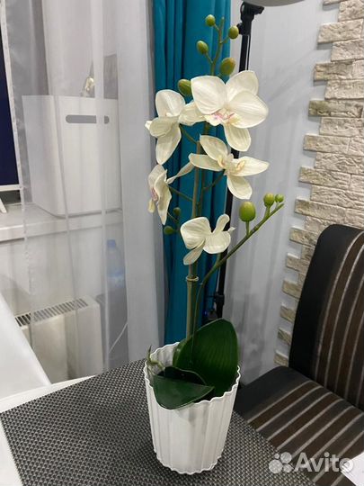 Кашпо и орхидея IKEA 53 см