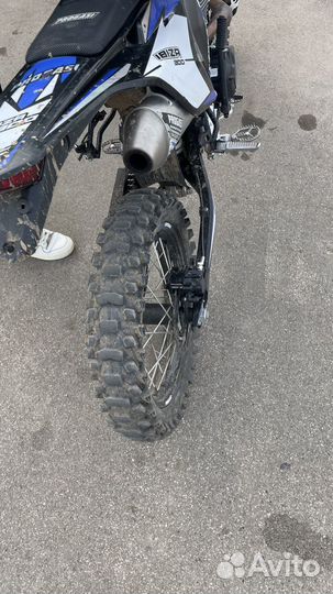 Progasi ibiza 300