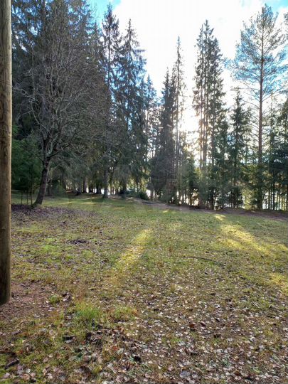 Участок 10 сот. (ИЖС)