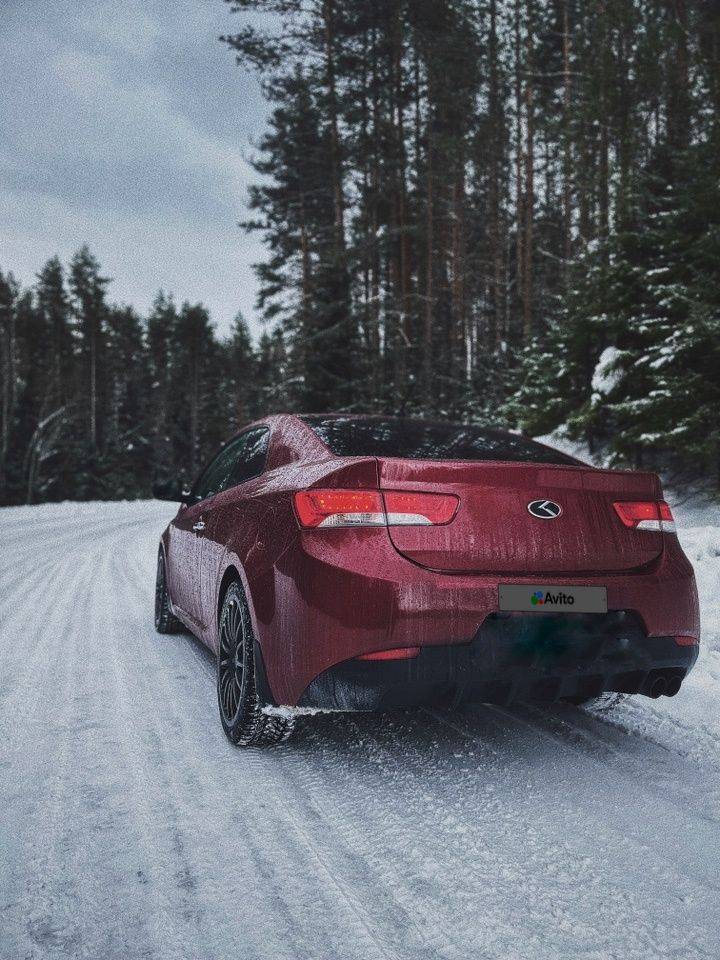 Kia Cerato: фото владельца