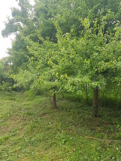 Дача 28 м² на участке 7,5 сот.