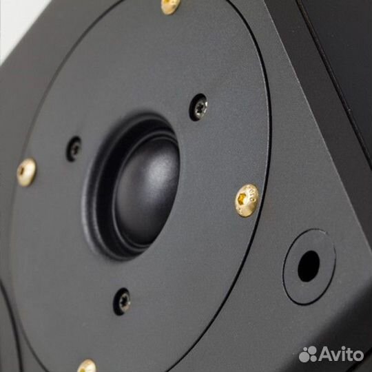 Полочные акустические системы PMC DB1i Gold