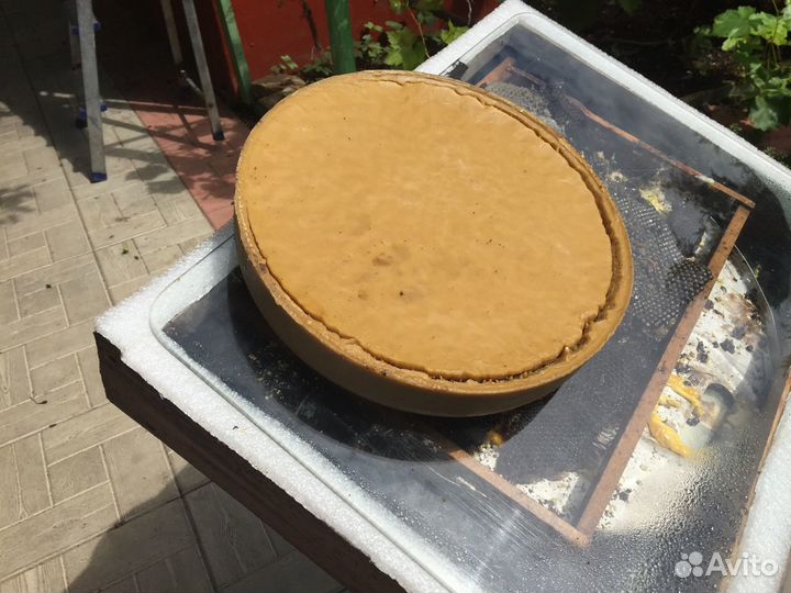 Воск пчелиный