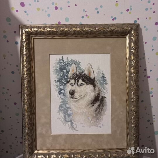 Хаски вышитая картина в багете