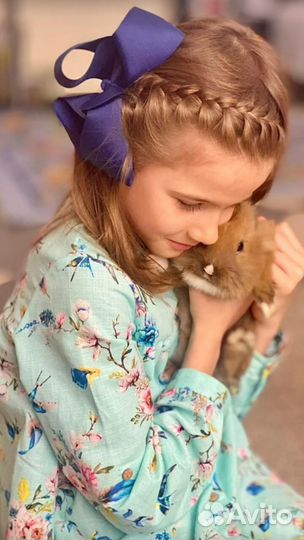 Платье аcoola 128