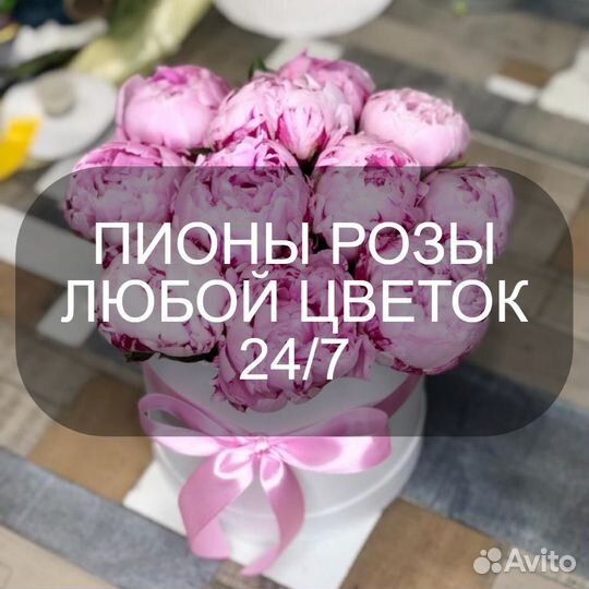 Пионы Букет пионов 9 пионов 11 пионов