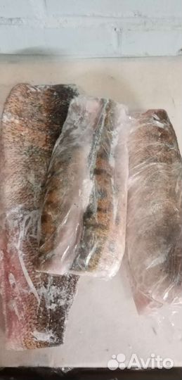 Филе судака