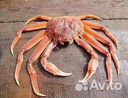 Клешни краба стригуна