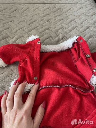 Костюм деда мороза на маленькую собаку