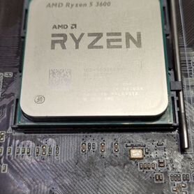 Amd ryzen 5 3600